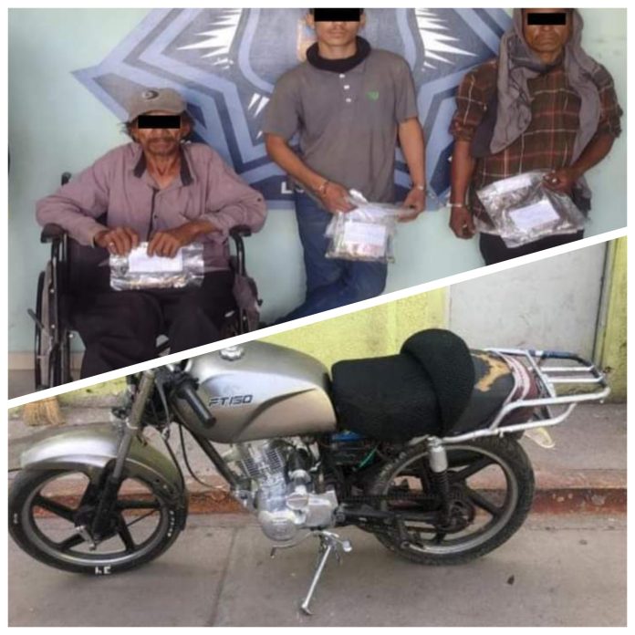 GridArt_20230322_121903992