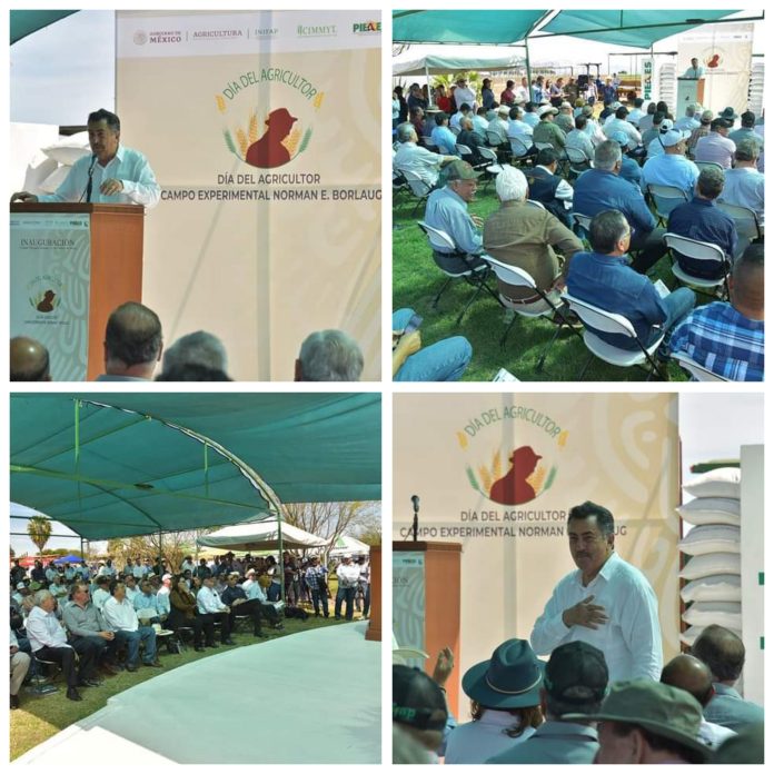 GridArt_20230322_153310413