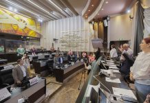 Aprueba Congreso renuncia a Guadalupe Taddei como Comisionada Presidenta del ISTAI