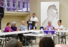 DICTAMINARÁN EL 26 DE ABRIL INICIATIVA CIUDADANA LA 3 DE 3 CONTRA LA VIOLENCIA HACIA LAS MUJERES