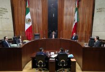 No veo con buenos ojos al TEPJF, ha hecho cosas indebidas: López Obrador