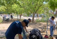 LLEVA SSPM PROGRAMA RESCATANDO ESPACIOS A CASA BLANCA