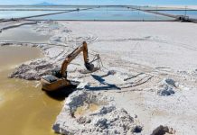 LITIOMX RECIBIRÁ SU PRIMER PRESUPUESTO EN 2024 POR CASI 9.8 MDP