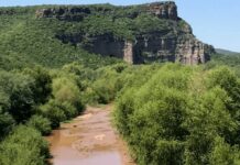 GOBIERNO MEXICANO DENUNCIA RIESGOS A LA SALUD POR DERRAME DE MINERA EN EL RÍO SONORA