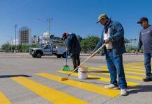 REHABILITA TRÁNSITO MUNICIPAL PINTURA EN CRUCES PEATONALES