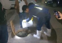 EXPLORAN USO DE MICROORGANISMOS PARA EL TRATAMIENTO DE AGUAS RESIDUALES DOMÉSTICAS E INDUSTRIALES