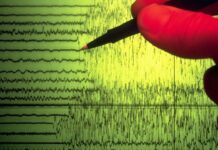 SISMOS EN GUERRERO, OAXACA Y JALISCO, LOS PRIMEROS DEL AÑO
