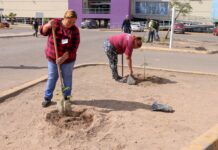 IMPULSA PROGRAMAS PREVENTIVOS DE LA POLICÍA MUNICIPAL REFORESTACIÓN