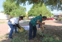 REALIZA PROGRAMAS PREVENTIVOS DE LA SSPM ACCIONES DE REFORESTACIÓN