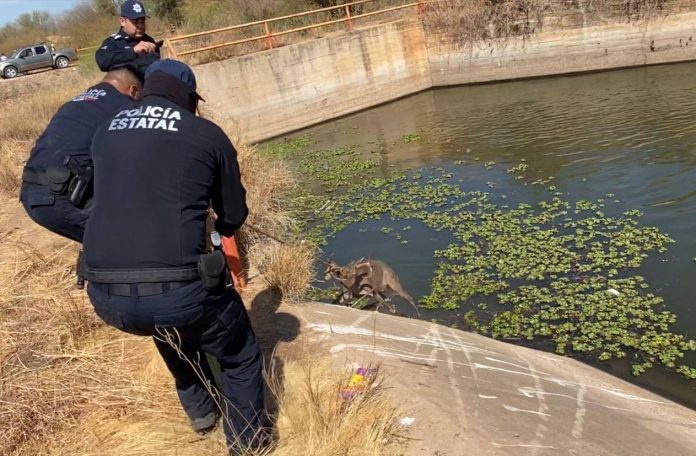 476882647_1101151372023490_5129212093144256580_n