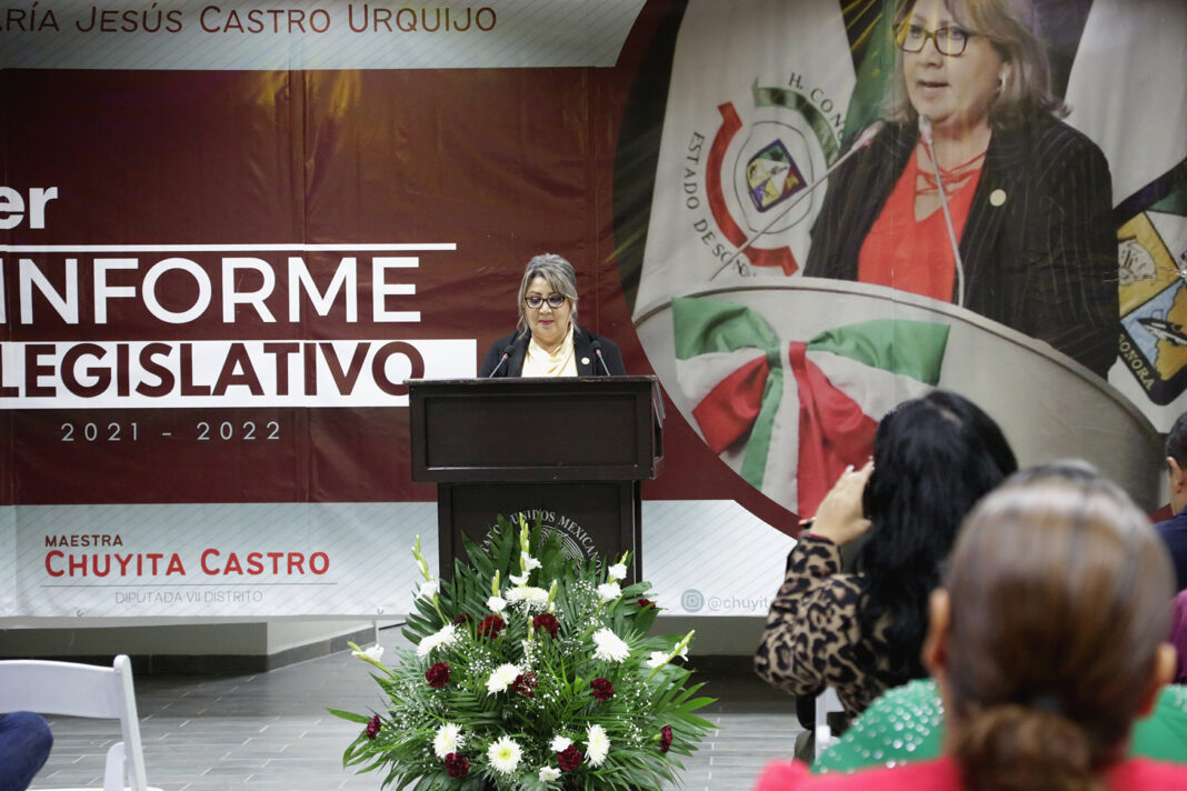 Informe Dip. Ma.Jesús Castro5