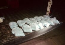 Navojoa: Aseguramiento de natcótico: Fentanilo