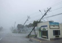 FLORIDA ENFRENTA EL DESASTRE