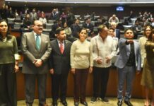 El cantante Erasmo Catarino toma protesta como senador del PVEM