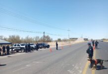 *Cuenta Gobierno del Estado con Unidad Especializada K-9*