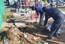 *PROGRAMAS PREVENTIVOS REALIZA LIMPIEZA PARA RECUPERAR ÁREAS VERDES EN CAJEME*