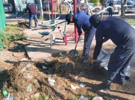 *PROGRAMAS PREVENTIVOS REALIZA LIMPIEZA PARA RECUPERAR ÁREAS VERDES EN CAJEME*