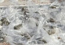 *Incautan más de 100 envoltorios con narcótico en Cajeme*