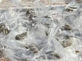 *Incautan más de 100 envoltorios con narcótico en Cajeme*