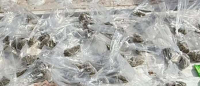 585284236_1353548890117069_7253384132673921935_n