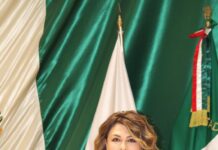 Congreso Abierto: propone Alejandra López Noriega regular la abstención y la adhesión a iniciativas legislativas
