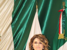 Congreso Abierto: propone Alejandra López Noriega regular la abstención y la adhesión a iniciativas legislativas