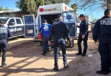 Acciones de combate al delito de la División Fronteriza de la Policía Estatal dejan resultados en Nogales