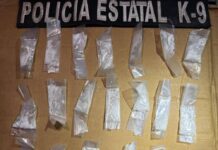 K-9 de la PESP consolida resultados en acciones de prevención y vigilancia*