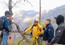 PROTECCIÓN CIVIL SONORA Y AUTORIDADES DE LOS TRES NIVELES DE GOBIERNO ATIENDEN INCENDIO FORESTAL EN #ÁLAMOS