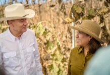 Gobernador Durazo y Sader garantizan apoyo al campo sonorense con estrategia de reconversión de cultivos