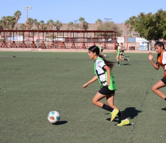 GOBIERNO DE SONORA Y CLUB AMÉRICA BUSCAN TALENTO JUVENIL CON VISORÍAS EN HERMOSILLO, BAHÍA DE KINO Y GUAYMAS