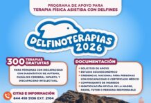 DIF CAJEME ABRE CONVOCATORIA PARA EL PROGRAMA “DELFINOTERAPIAS 2026” CON 300 TERAPIAS GRATUITAS