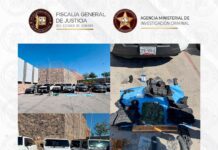 Aseguran Guardia Nacional, DEFENSA, SSPC, PESP y FGJES armas, cartuchos, vehículos y droga durante cateo en Nogales