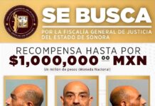 SE BUSCAN