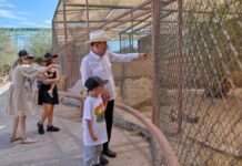 Gobernador Durazo reaviva Centro Ecológico de Sonora; se registran 73 nacimientos en 2026