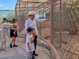 Gobernador Durazo reaviva Centro Ecológico de Sonora; se registran 73 nacimientos en 2026