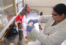 Playas de Sonora están listas para recibir a las y los vacacionistas: Secretaría de Salud