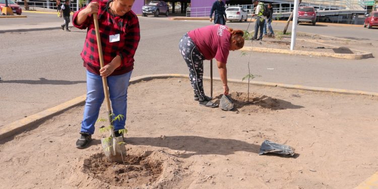 IMPULSA PROGRAMAS PREVENTIVOS DE LA POLICÍA MUNICIPAL REFORESTACIÓN