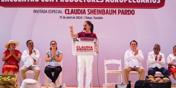 CLAUDIA SHEINBAUM APUESTA POR EL RECONOCIMIENTO DE LAS MUJERES RURALES DE MÉXICO: EN LA 4T LUCHAMOS POR ERRADICAR LA DISCRIMINACIÓN QUE CARACTERIZÓ A YUCATÁN