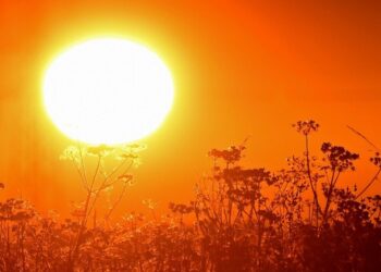 LLAMA PROTECCIÓN CIVIL A EXTREMAR CUIDADOS ANTE OLA DE CALOR