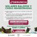 SI CONOCES UN SOLAR BALDÍO, O CASA ABANDONADA, REPORTALOS