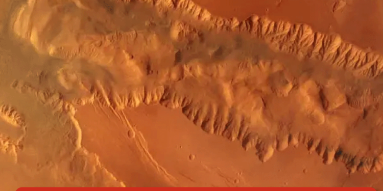 ¿Pepe Aguilar ofrecerá dinero para encontrar a los ‘enemigos’ de Ángela Aguilar?