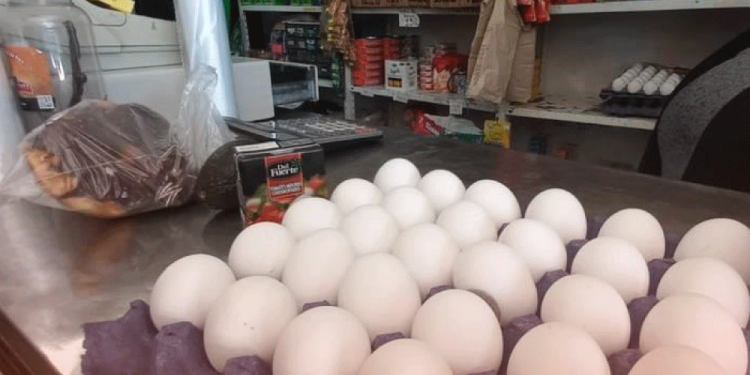 FIFA excluye al León del Mundial de Clubes