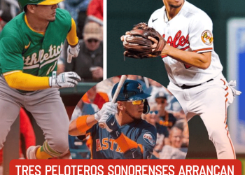 Será más accesible el costo al Oasis Interactivo del Parque Infantil