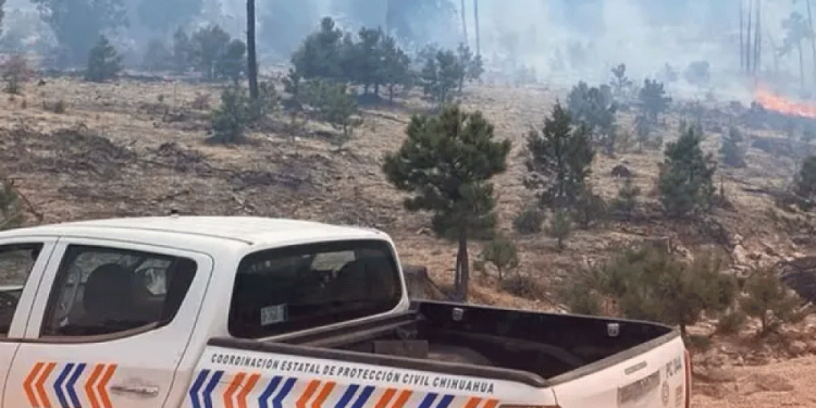Incendios forestales en Chihuahua llegan a poblados Tarahumaras