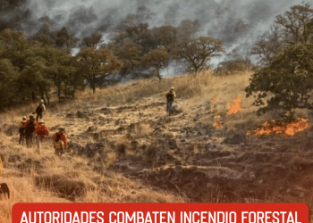 Muere Val Kilmer, actor de Batman Forever y Top Gun, a los 65 años