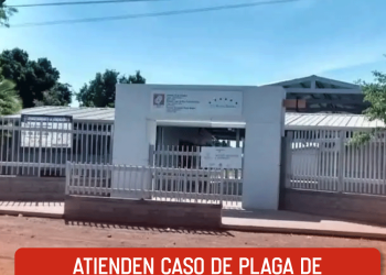 Atienden caso de plaga de pulgas en Tobarito