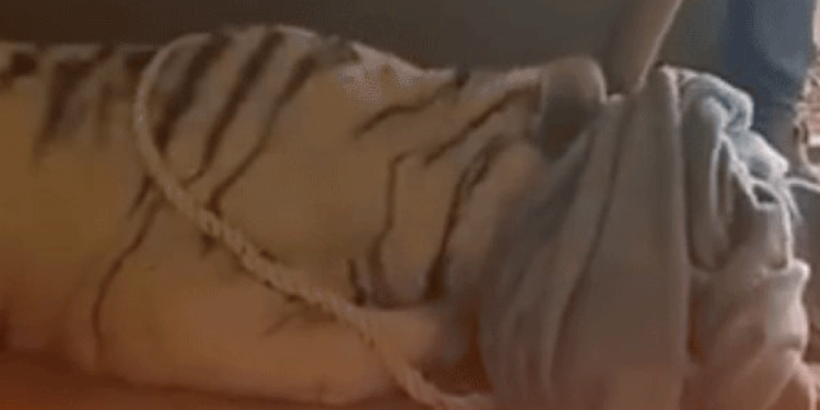 Colapso del techo de la discoteca Jet Set; actuaba Rubby Pérez