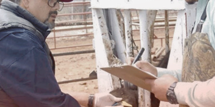 Colapso del techo de la discoteca Jet Set; actuaba Rubby Pérez