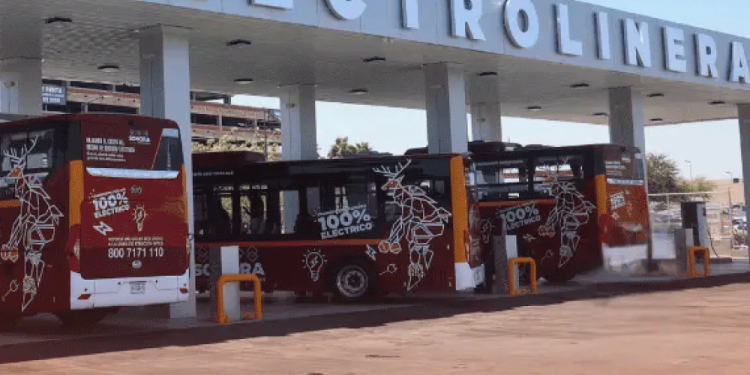 Kim Kardashian se convierte en abogada sin haber pisado una universidad